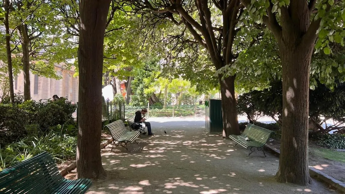 A Gem At Notre Dame * باريس